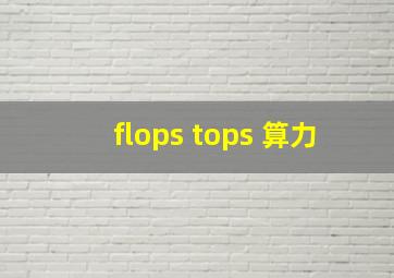 flops tops 算力